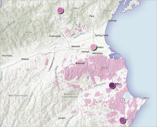 Summarized areas of Nassella tussock sightings within a 1.5 kilometer distance of the campground Summarized areas of Nassella tussock sightings within a 1.5 kilometer distance of the campground